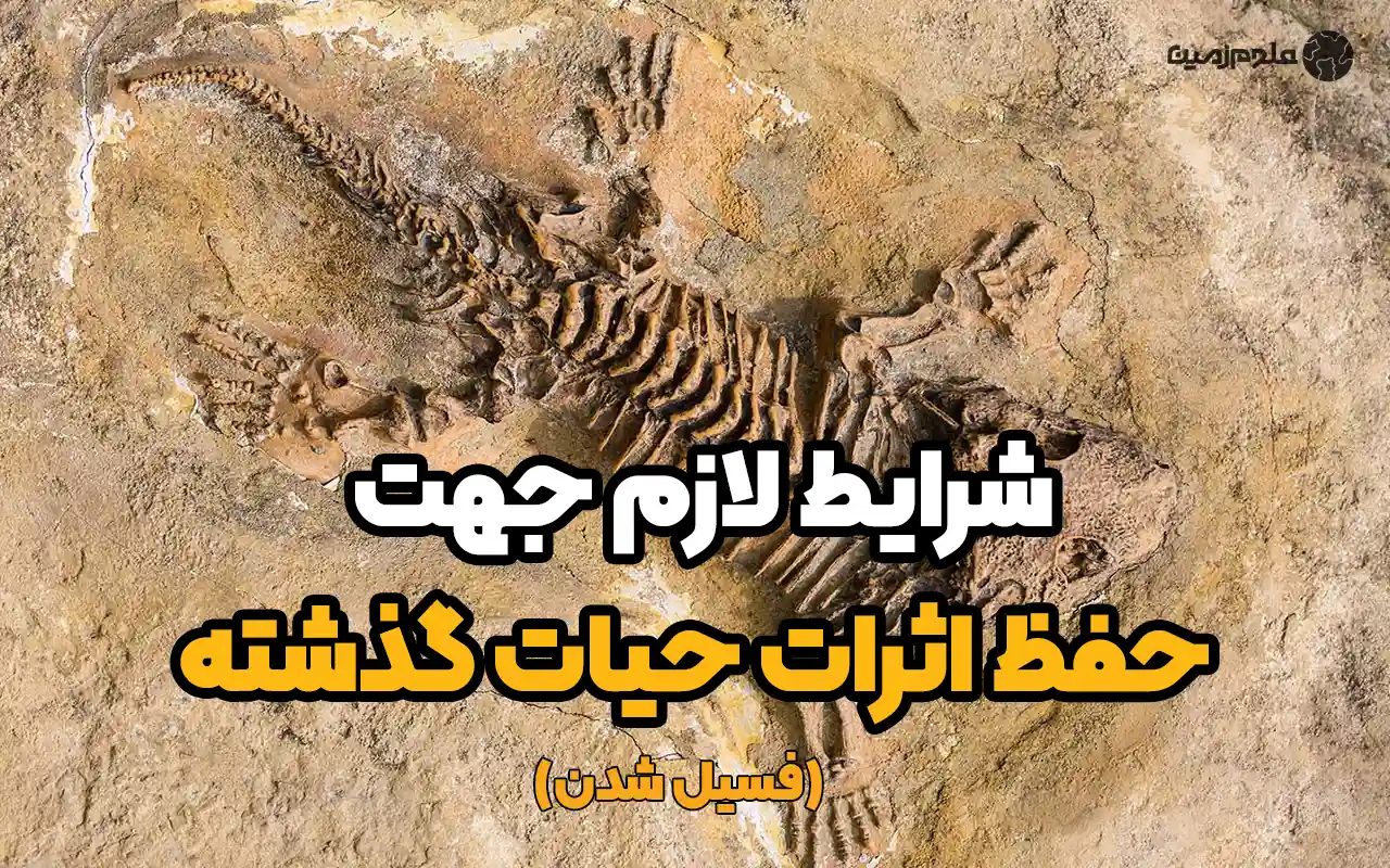 شرایط لازم جهت حفظ اثرات حیات گذشته (فسیل شدن)